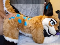 Zábavné šukání s huňatým pejskem