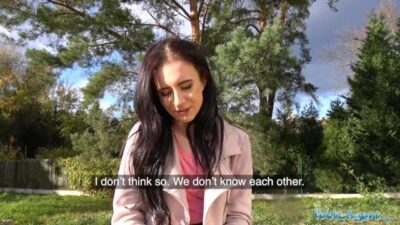 Rychlý prachy aneb Public agent v českých ulicích (Caroline Mann)